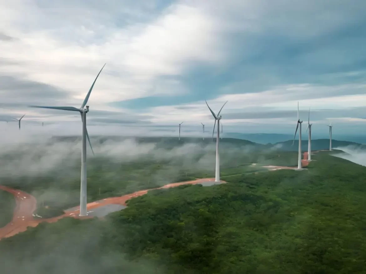Agência internacional afirma que Brasil é estratégico para transição energética do mundo