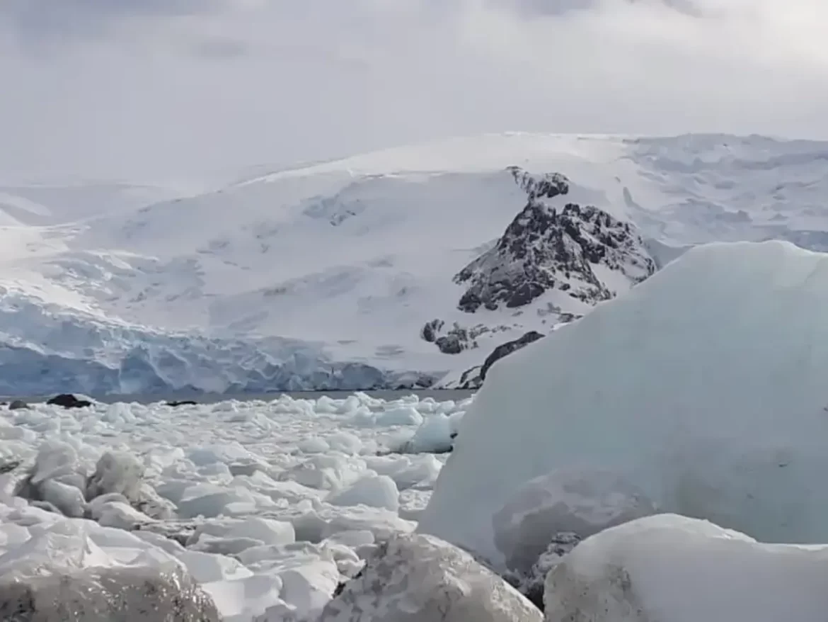 ONU emite alerta sobre os efeitos da mudança climática nas geleiras