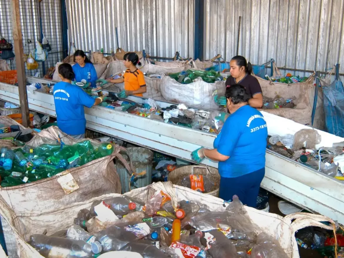 Brasil registra crescimento de 14% na reciclagem de PET em dois anos