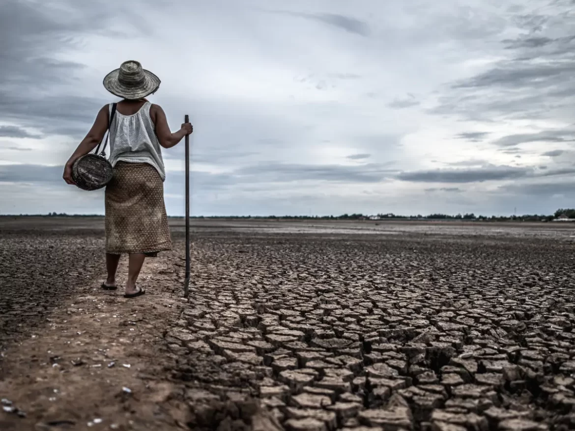 Crise climática ameaça a vida na terra: pesquisador alerta para nova extinção em massa