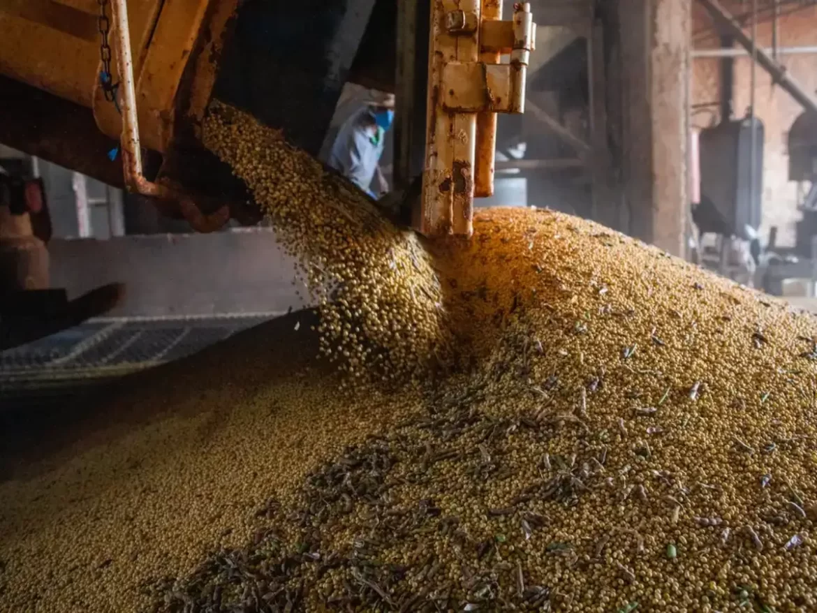 A economia brasileira alcança um novo recorde com 14 trimestres seguidos de crescimento
