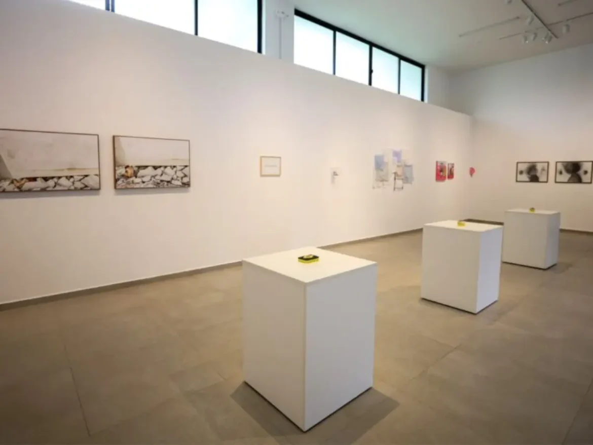 Exposição em Joinville destaca novos artistas de todo o país